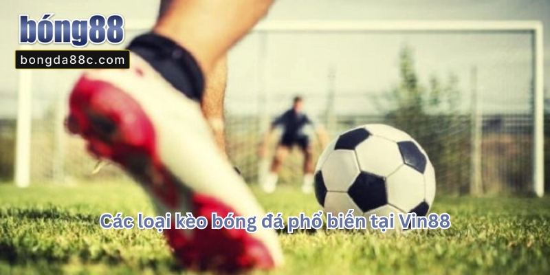 Vin88 